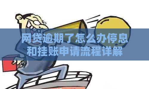 网贷逾期了怎么办停息和挂账申请流程详解