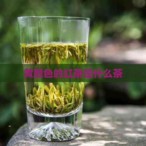 黄颜色的红茶是什么茶