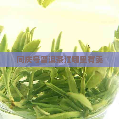 同庆号普洱茶江哪里有卖