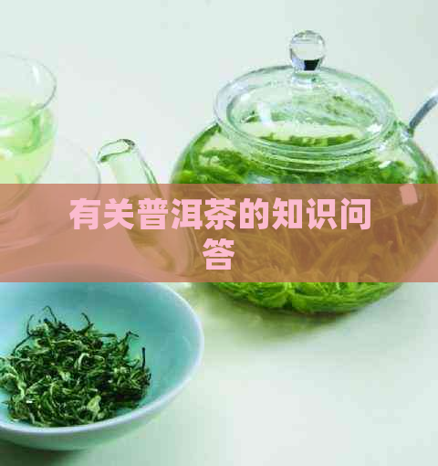 有关普洱茶的知识问答