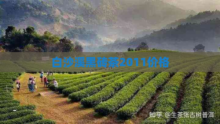 白沙溪黑砖茶2011价格