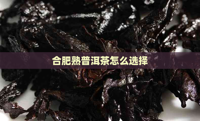 合肥熟普洱茶怎么选择