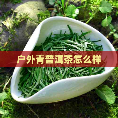 户外青普洱茶怎么样