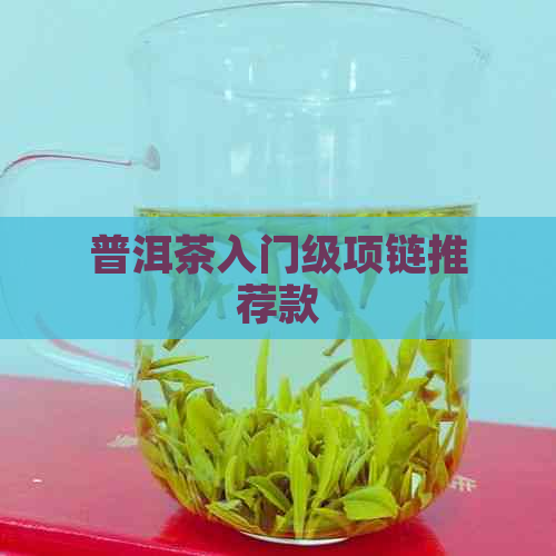 普洱茶入门级项链推荐款