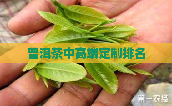 普洱茶中高端定制排名