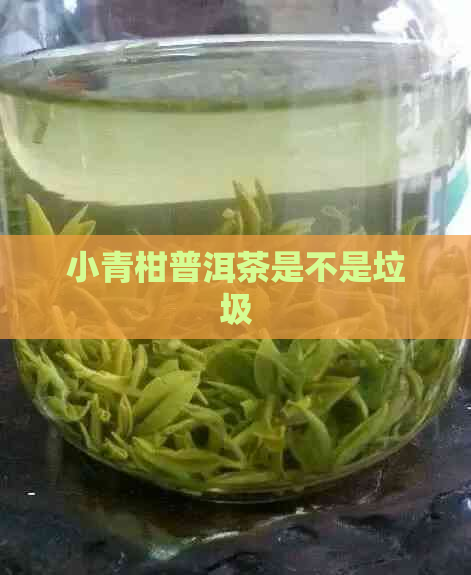 小青柑普洱茶是不是垃圾