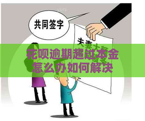 花呗逾期超过本金怎么办如何解决