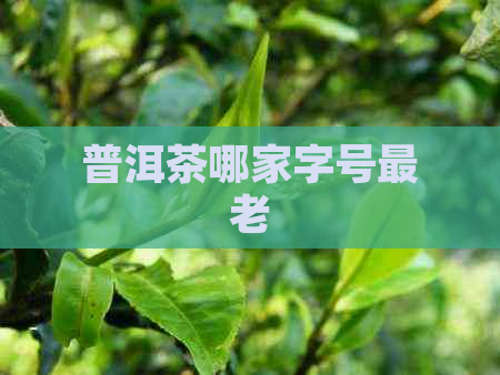 普洱茶哪家字号最老