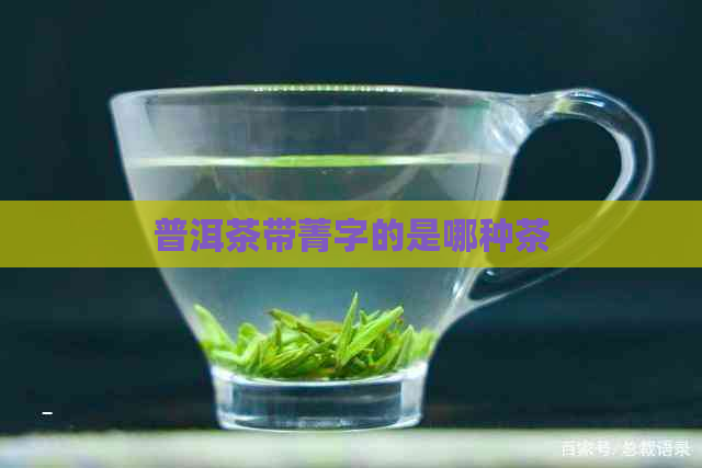 普洱茶带菁字的是哪种茶