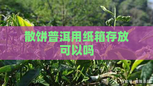 散饼普洱用纸箱存放可以吗