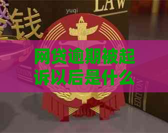 网贷逾期被起诉以后是什么法律程序