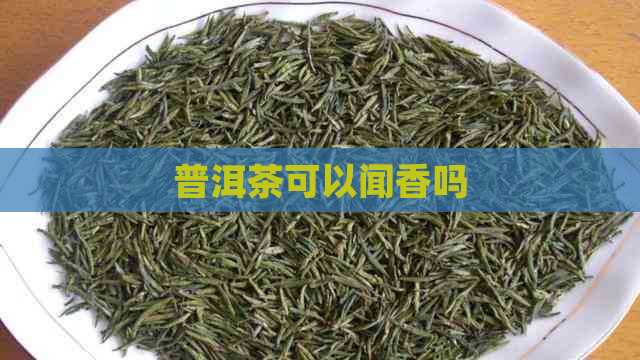 普洱茶可以闻香吗