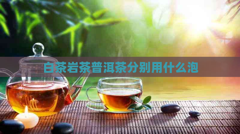 白茶岩茶普洱茶分别用什么泡