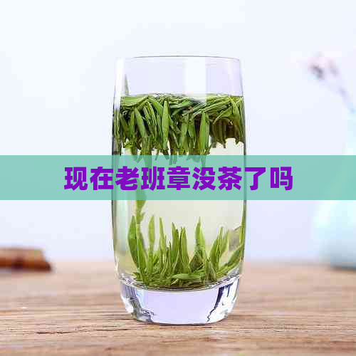 现在老班章没茶了吗