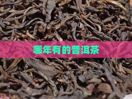 哪年有的普洱茶