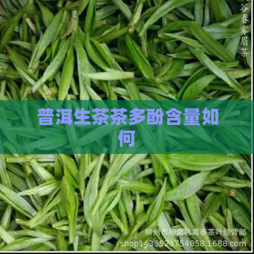 普洱生茶茶多酚含量如何