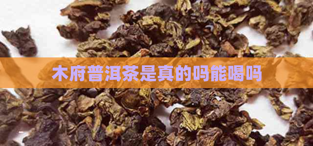 木府普洱茶是真的吗能喝吗