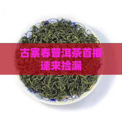 古寨春普洱茶首播速来捡漏