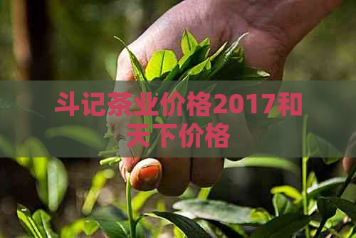 斗记茶业价格2017和天下价格