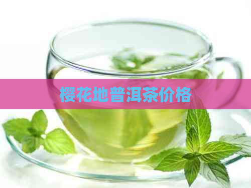 樱花地普洱茶价格