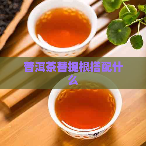 普洱茶菩提根搭配什么