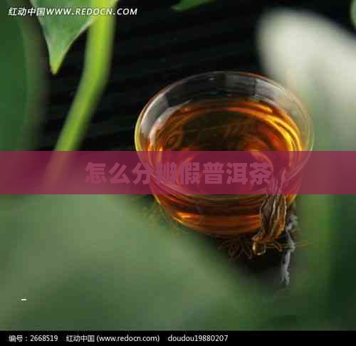 怎么分辨假普洱茶