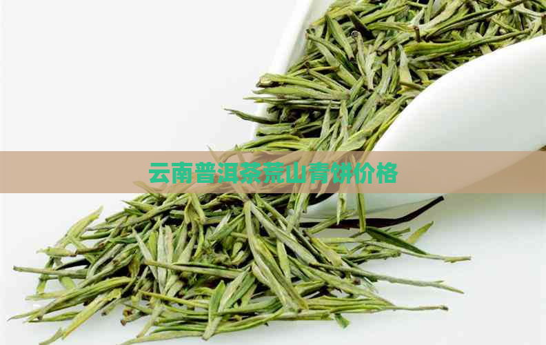 云南普洱茶荒山青饼价格