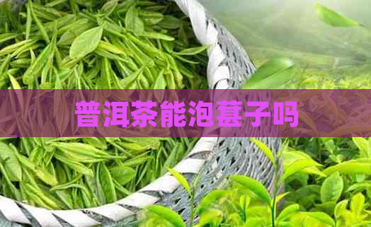 普洱茶能泡葚子吗