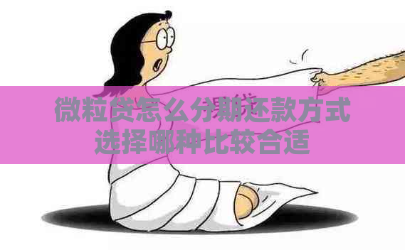 微粒贷怎么分期还款方式选择哪种比较合适