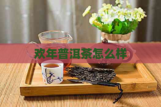 欢年普洱茶怎么样