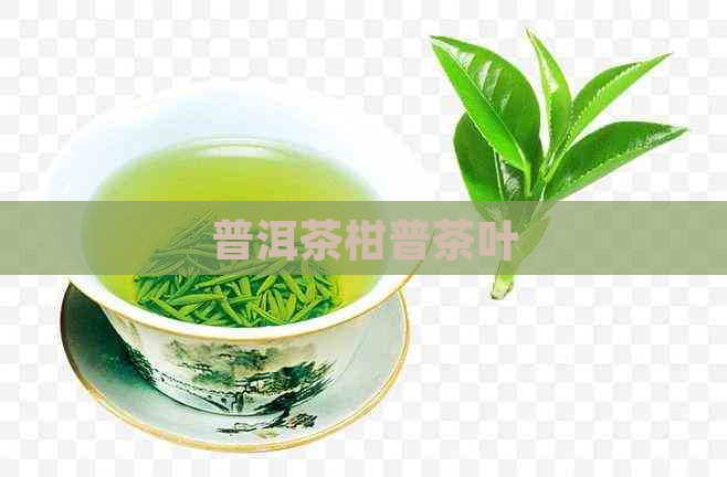 普洱茶柑普茶叶