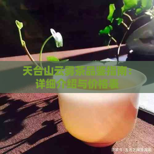 天台山云雾茶品鉴指南：详细介绍与价格表