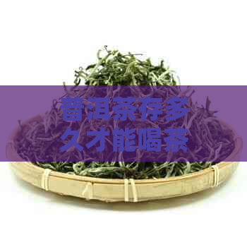 普洱茶存多久才能喝茶