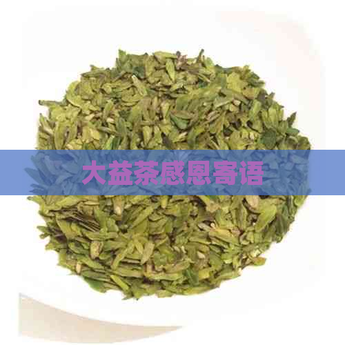 大益茶感恩寄语