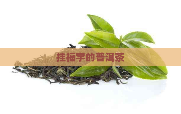 挂福字的普洱茶