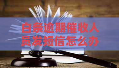 白条逾期人员发短信怎么办