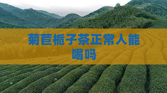 菊苣栀子茶正常人能喝吗