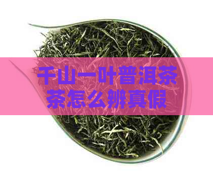 千山一叶普洱茶茶怎么辨真假