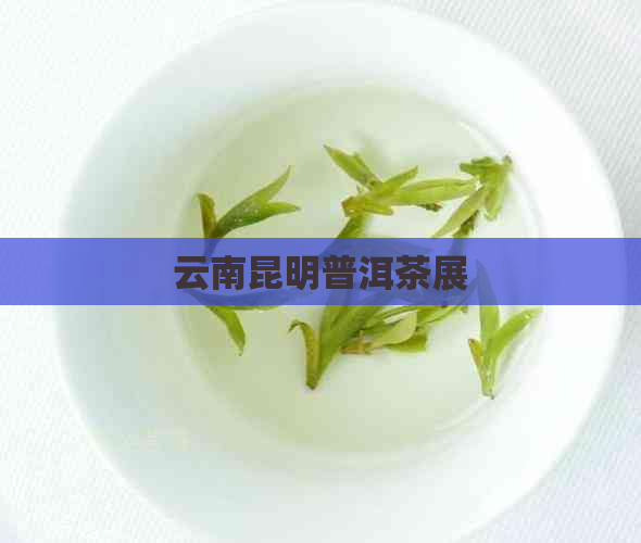 云南昆明普洱茶展