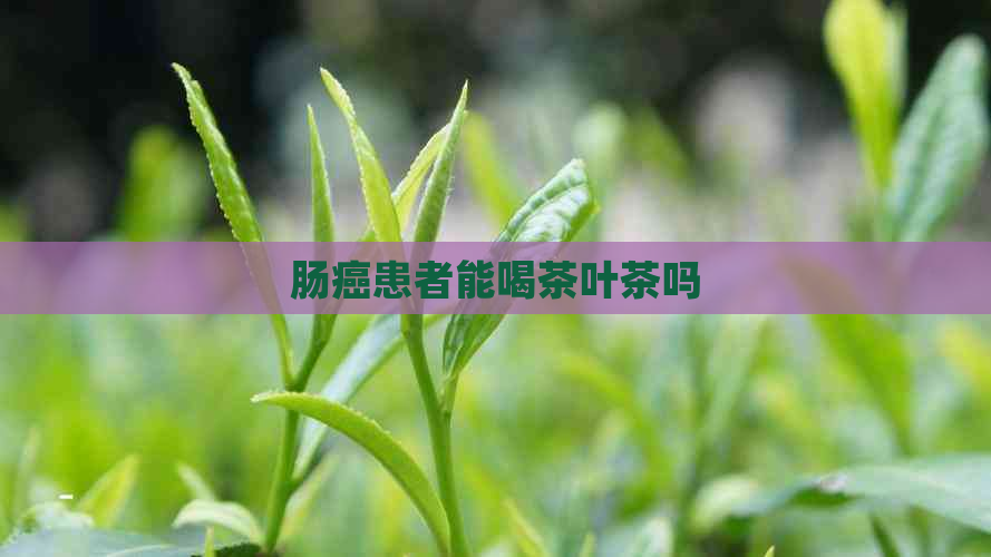 肠癌患者能喝茶叶茶吗