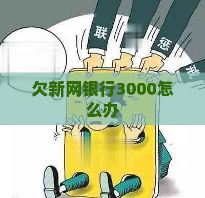 欠新网银行3000怎么办