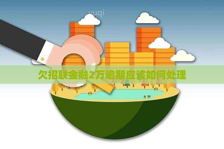 欠招联金融2万逾期应该如何处理