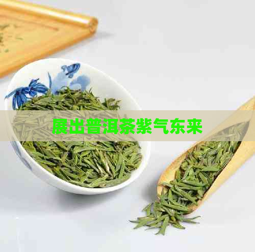 展出普洱茶紫气东来