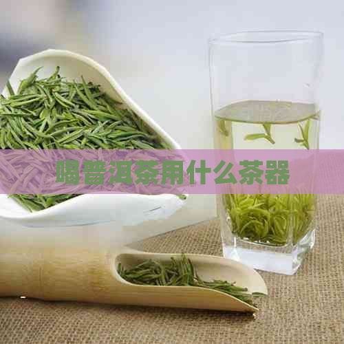 喝普洱茶用什么茶器