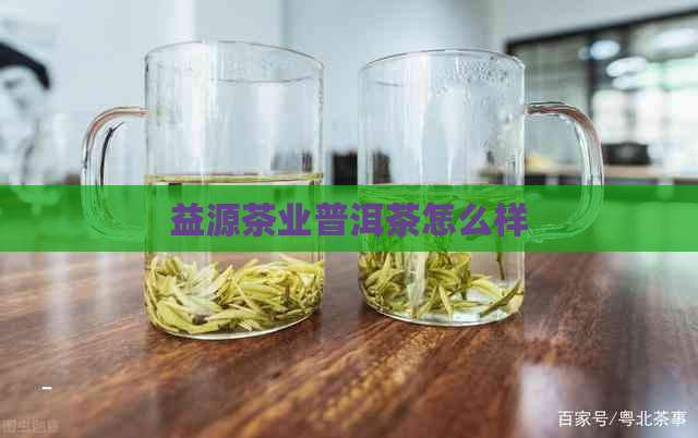 益源茶业普洱茶怎么样