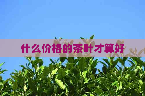 什么价格的茶叶才算好