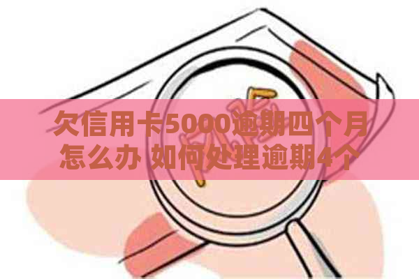 欠信用卡5000逾期四个月怎么办 如何处理逾期4个月的信用卡债务？