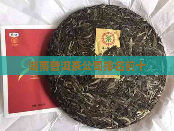 湖南普洱茶公司排名前十