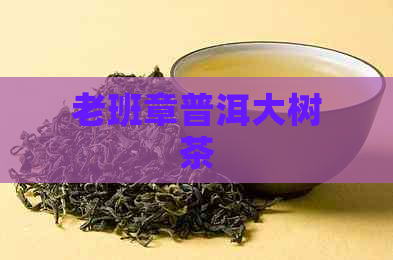 老班章普洱大树茶