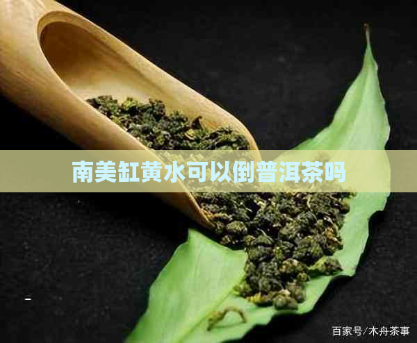 南美缸黄水可以倒普洱茶吗